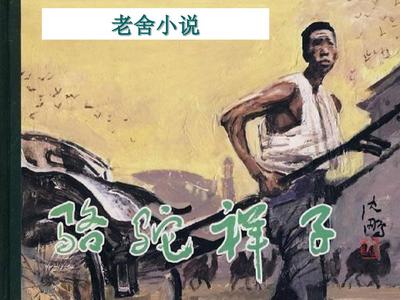 深入了解 小辣椒导航